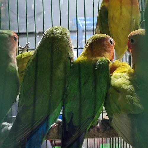 Photo #10752355