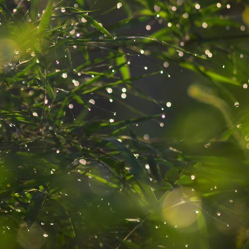 Photo #10752654