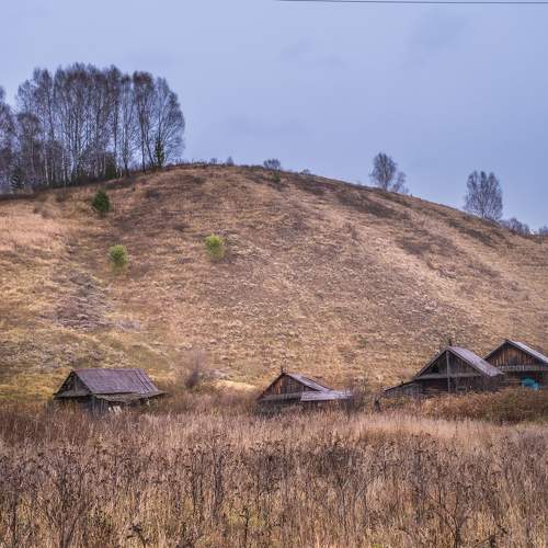 Photo #10752932