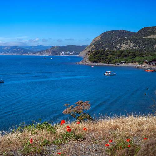 Photo #10753039