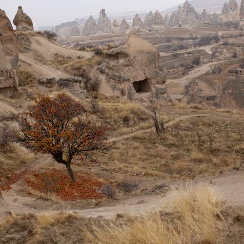 Photo #10753239