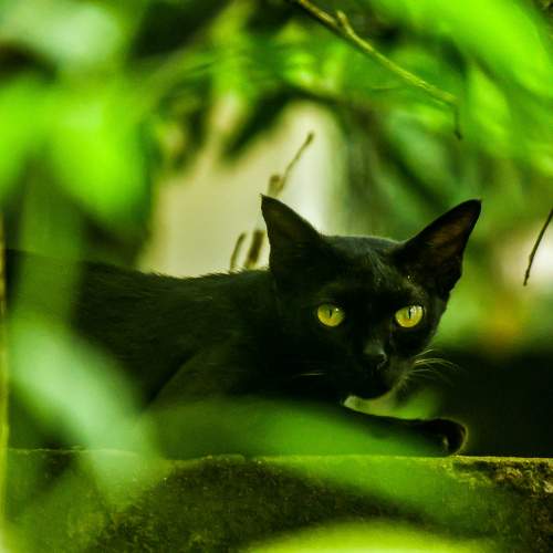 Photo #10753562
