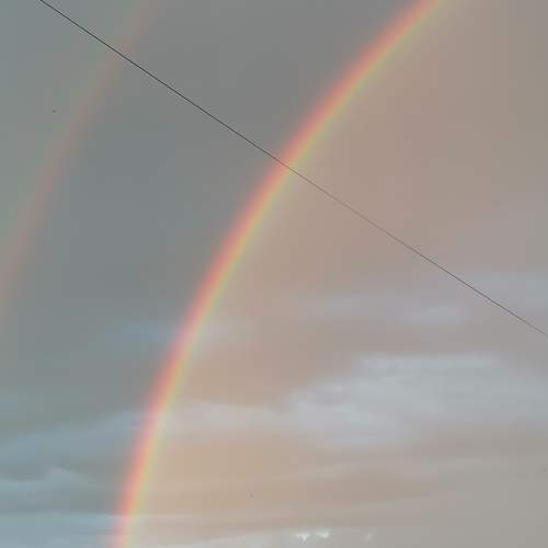 Photo #10753923