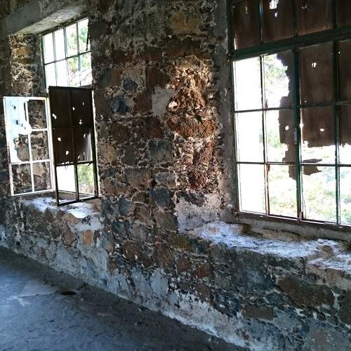 Photo #10753930