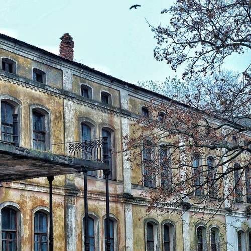 Photo #10753966