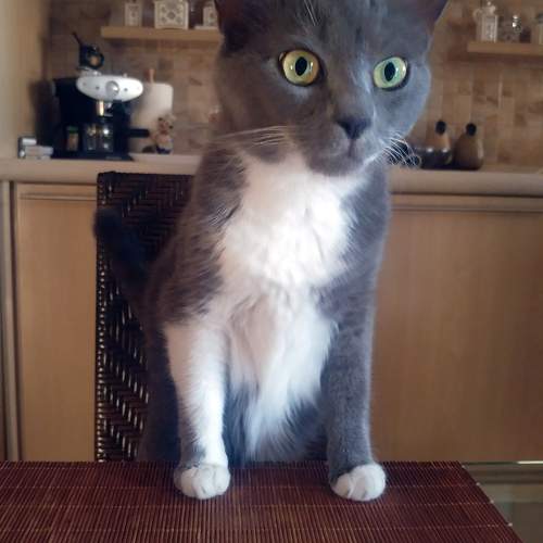Photo #10754056