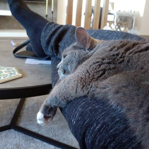 Photo #10754058