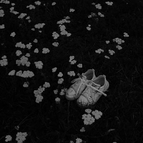 Photo #10754131
