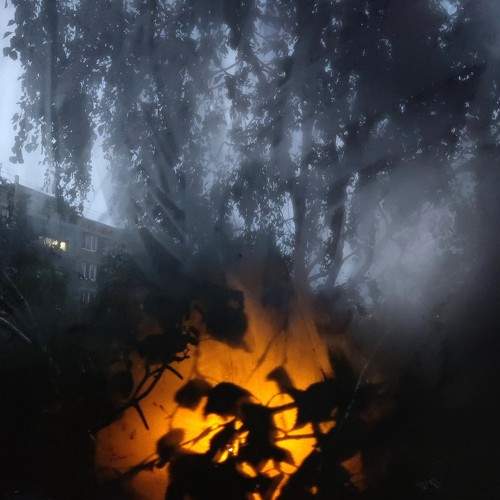 Photo #10754176