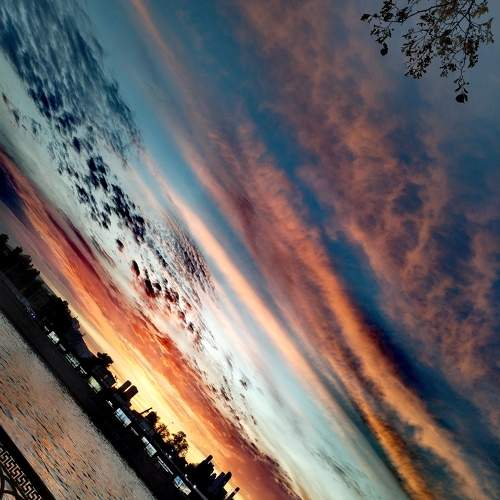 Photo #10754280