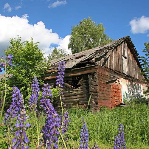 Photo #10754381