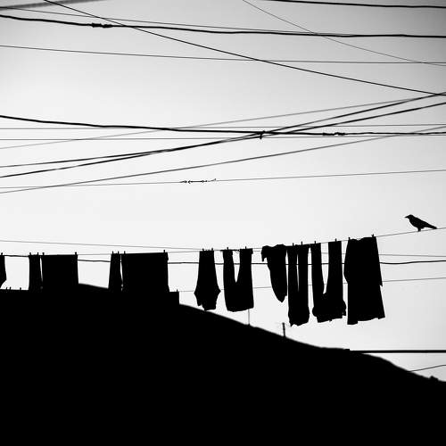 Photo #10754638