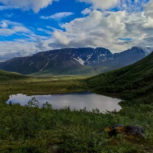 Photo #10754700