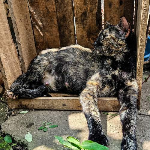 Photo #10754842