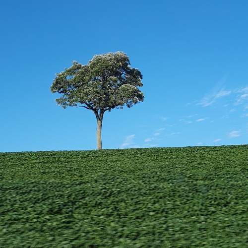 Photo #10755076