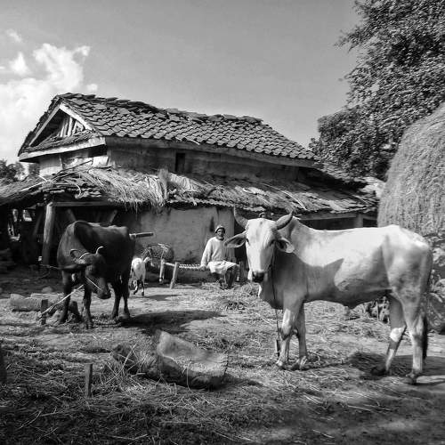 Village