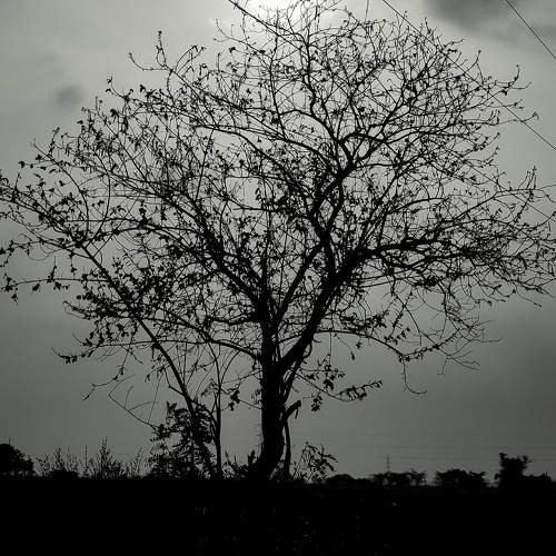 Everlasting resilience