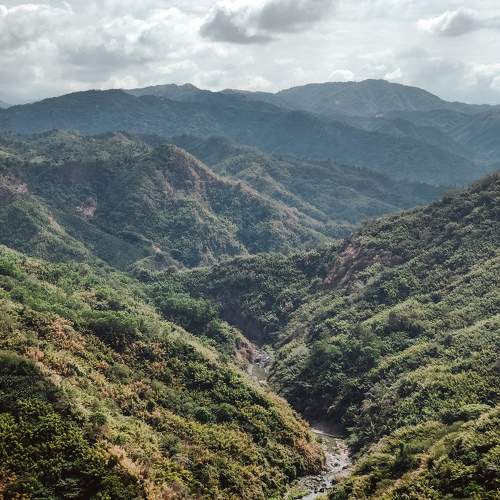 Photo #10755154