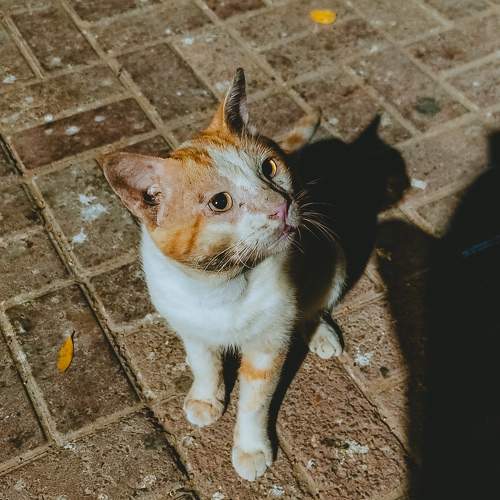 Photo #10755177