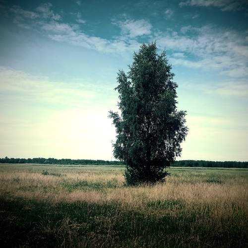 Photo #10755384