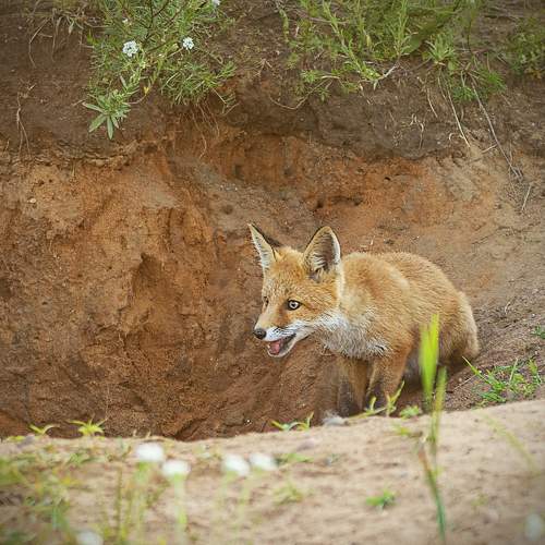 Photo #10755467