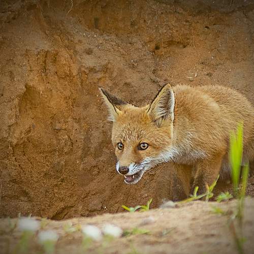 Photo #10755472