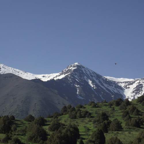 Photo #10755776