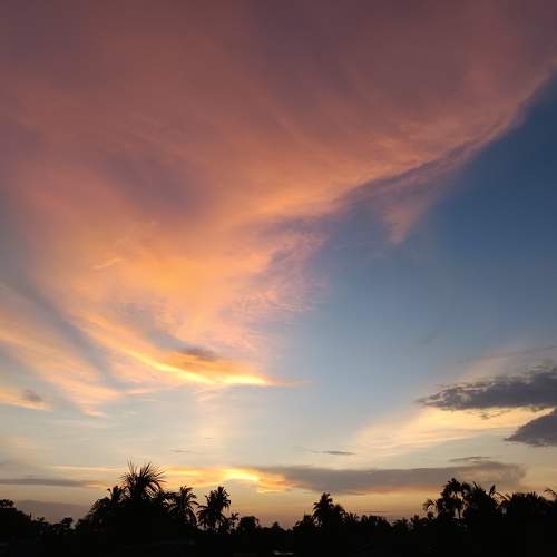 Photo #10756020