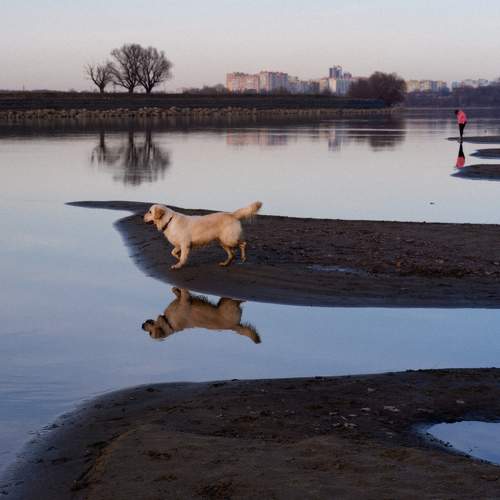Photo #10756133