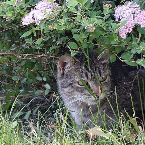 Photo #10756462