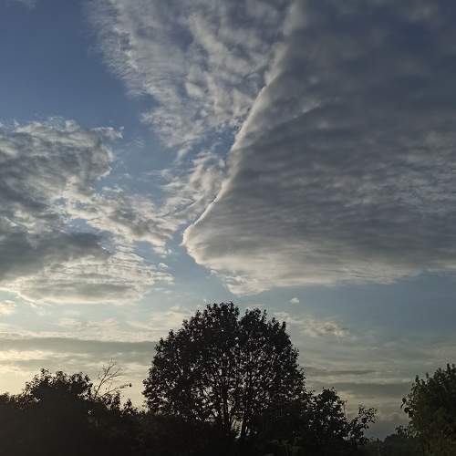 Photo #10756568