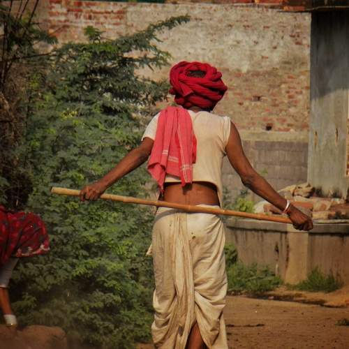 Photo #10756654