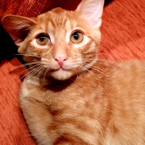 Photo #10757151