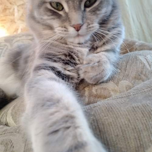 Photo #10757374