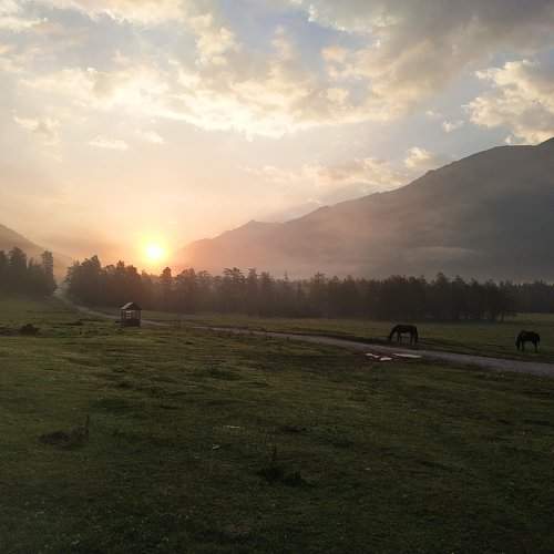 Photo #10757655