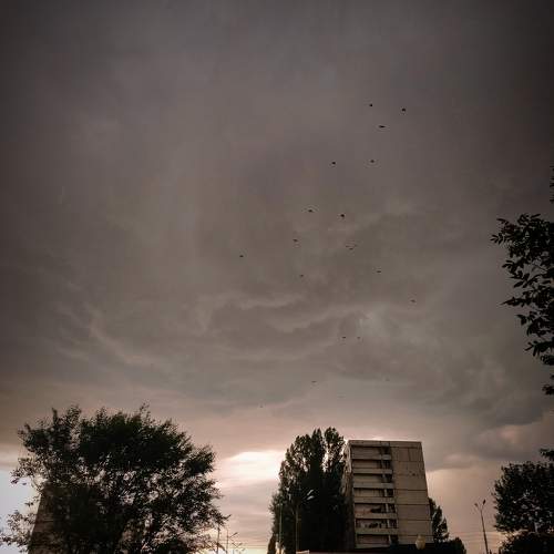 Photo #10757868