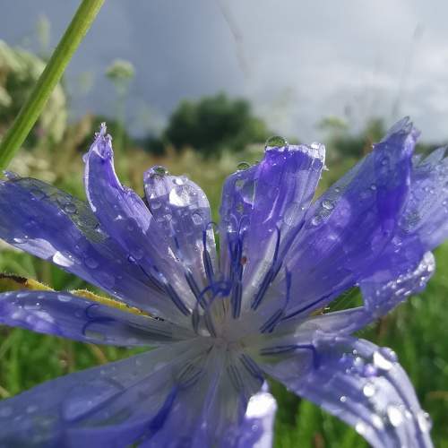 Photo #10758030