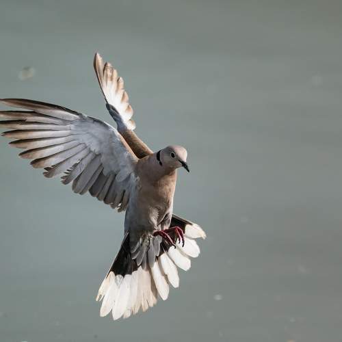 Take off