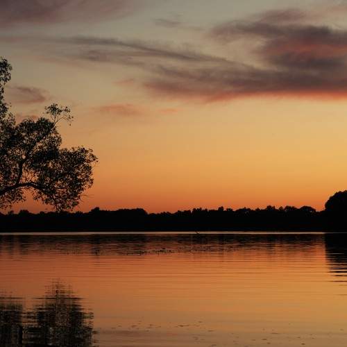 Photo #10758105