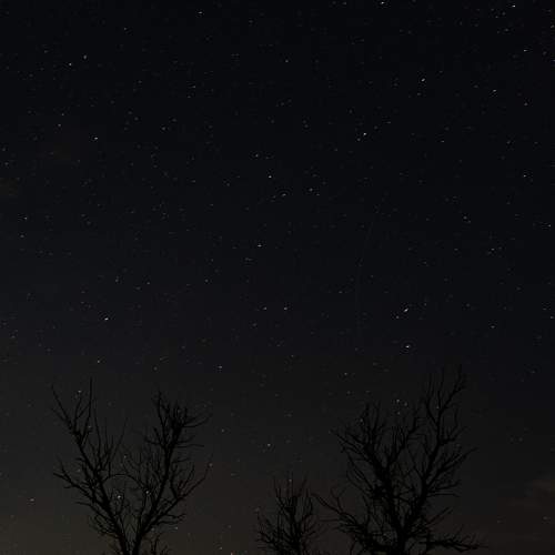 Photo #10758463