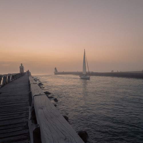 Photo #10758501