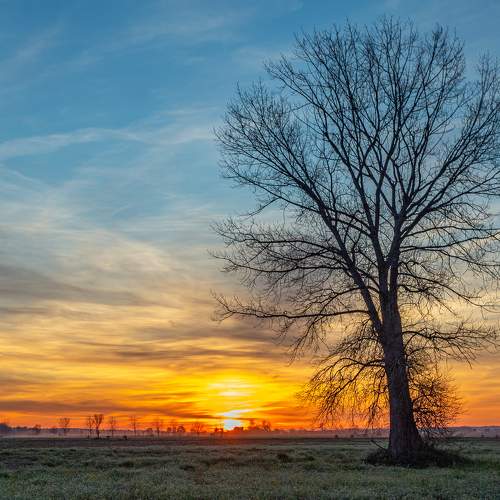 Ocaso