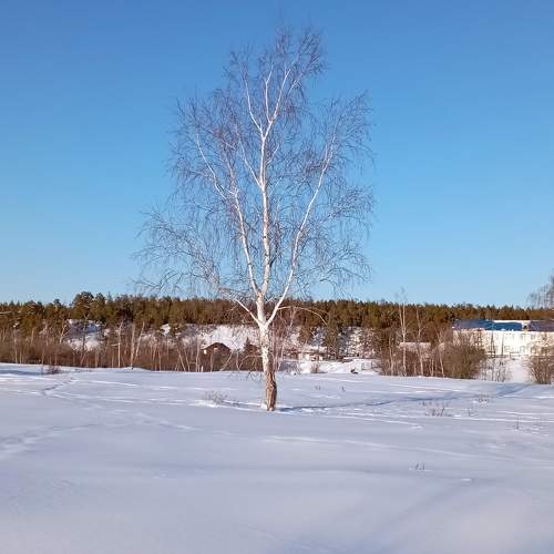 Photo #10759034