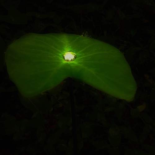 Photo #10759098