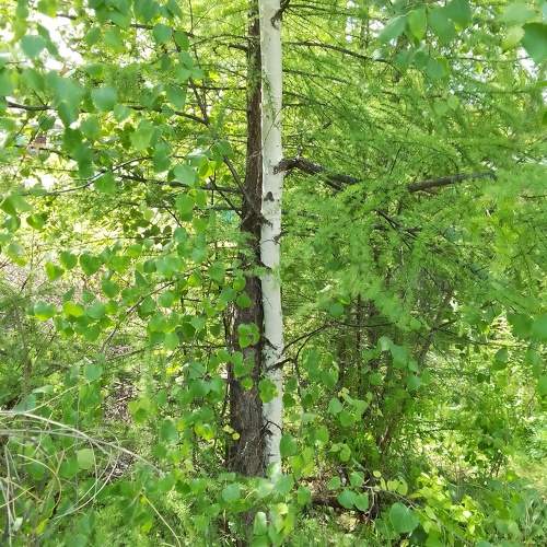 Photo #10759125