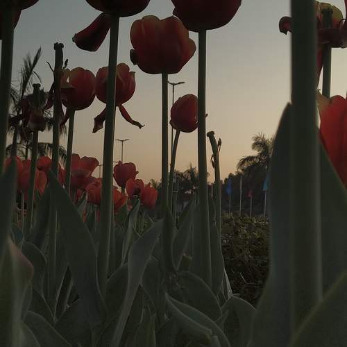 Photo #10759337