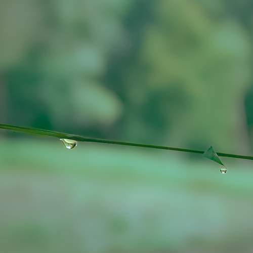 Photo #10759413