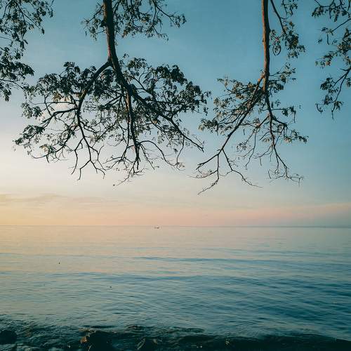 Photo #10759427