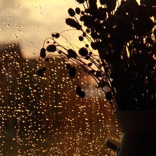 Photo #10759455