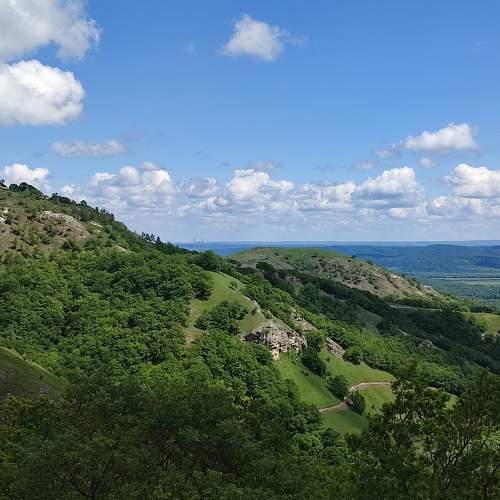 Photo #10759568